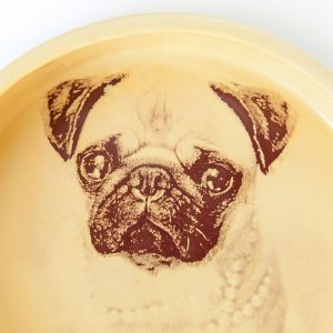 Accesorio Mascotas, Bebedero Perros