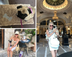 francia para viajar con tu mascota