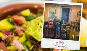 Restaurantes que aceptan mascotas